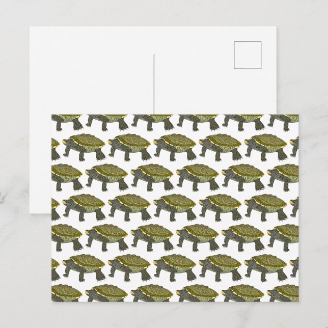 Terrapin (Muster weiß) - Postkarte (Vorne/Hinten)