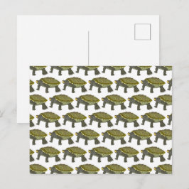 Terrapin (pattern white) - Postcard Postkarte
