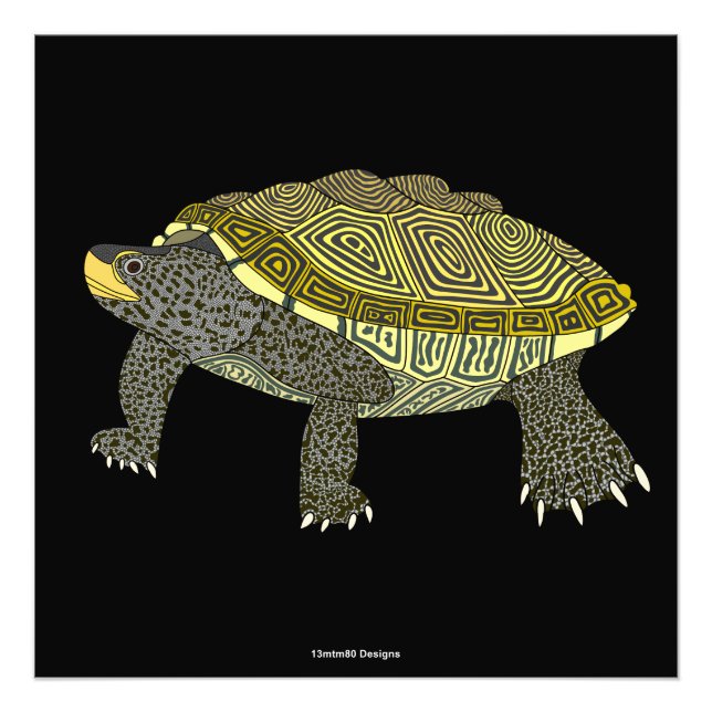Terrapin (schwarz) - Fotodruck (Vorne)