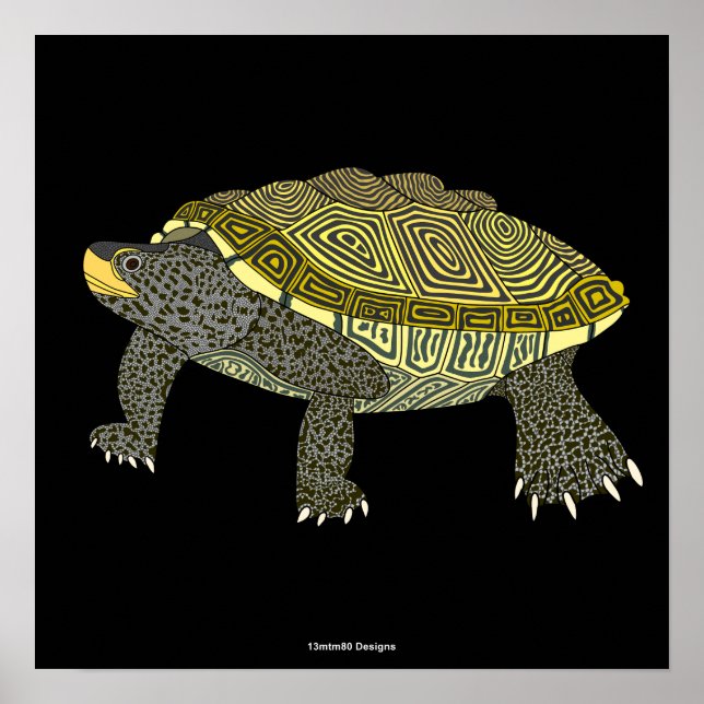 Terrapin (schwarz) - Poster Druck (Vorne)