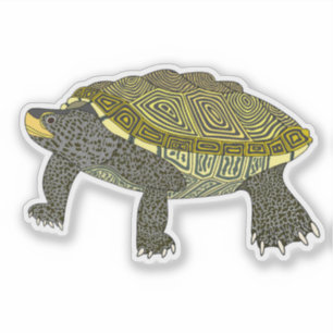 Terrapin - Vinyl-Aufkleber Aufkleber