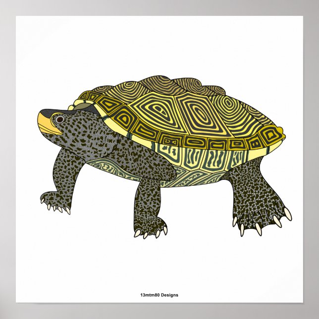Terrapin (weiß) - Poster Druck (Vorne)