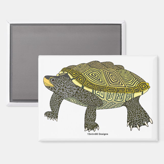 Terrapin (weiß) - Rechteck-Magnet Magnet (Vorderseite/Rückseite)