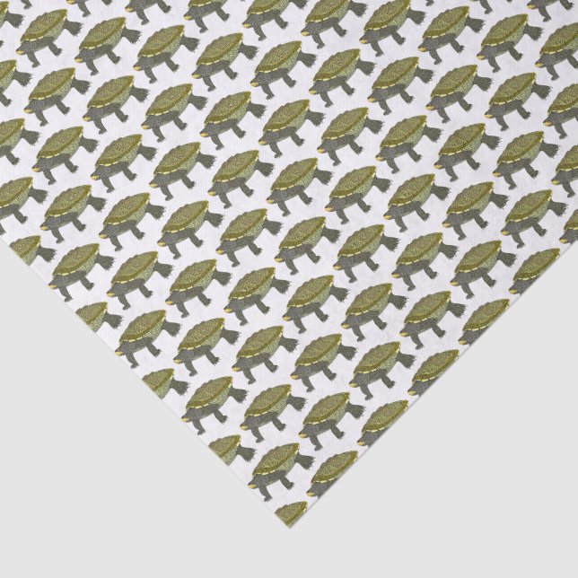Terrapin (weiß) - Seidenpapier (Ausschnitt)