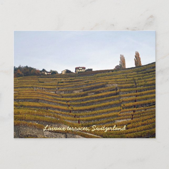 Terrassen Postkarte (Vorderseite)