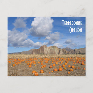 Terrebonne Pumpkins (Begriffsklärung) Postkarte