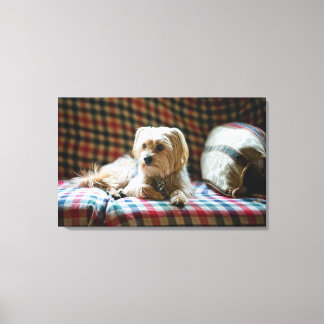 Terrier auf karierter Decke Leinwanddruck
