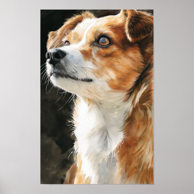 Terrier chihuahua mixed breed dog closeup poster (Vorne)