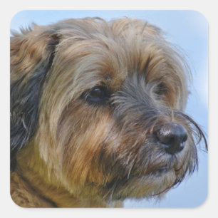 Terrier Design Quadratischer Aufkleber