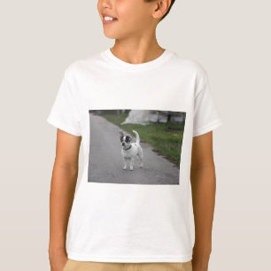 Terrier Hund sieht Niedlich aus! T-Shirt