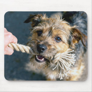 Terrier-Hund spielt Tauziehen Mousepad
