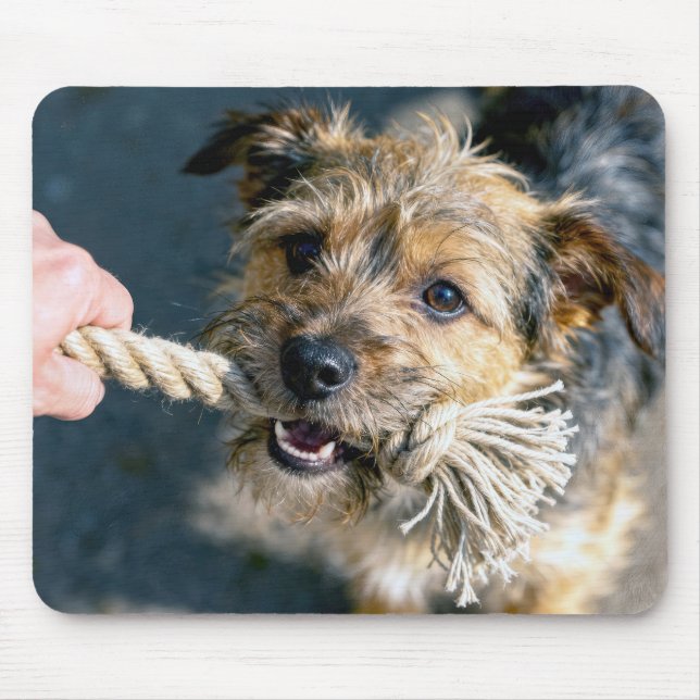 Terrier-Hund spielt Tauziehen Mousepad (Vorne)