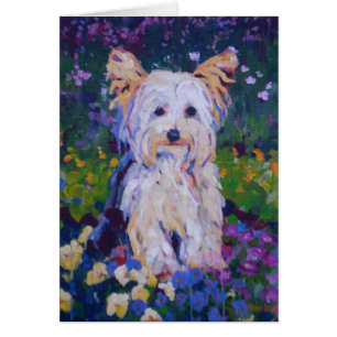 Terrier-Malen