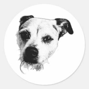 Terrier Mix Nah-Up Monochrome Aufkleber