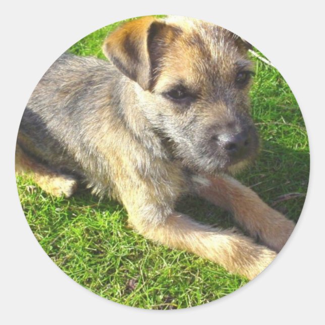 Terrier Puppy Sticker (Vorderseite)