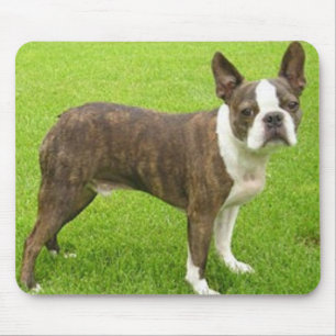 Terrier stehendes Mousepad Browns Boston