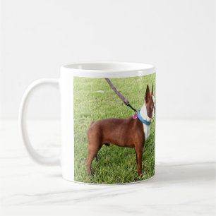 Terrier-Tasse Browns Boston Tasse