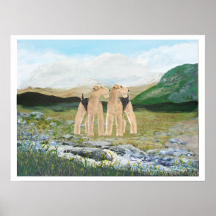 Terriers in Irland Poster