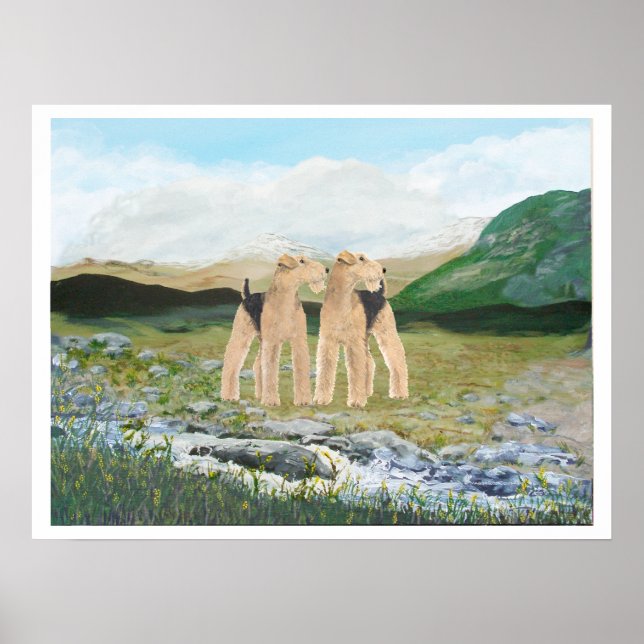 Terriers in Irland Poster (Vorne)