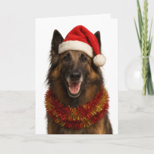 Tervuren mit Santa-Mütze Weihnachtskarte Karte