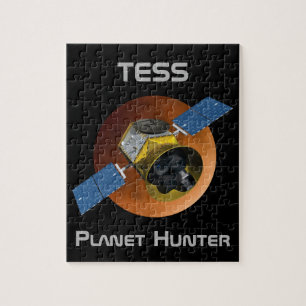 TESS Planet Hunter Spacecraft Puzzle