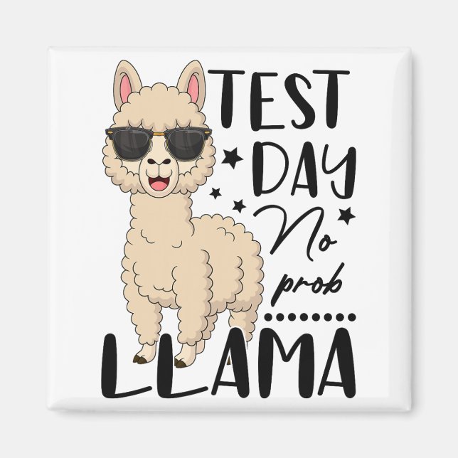 Test Day No Prob Llama Lehrer Student Test D Magnet (Vorne)