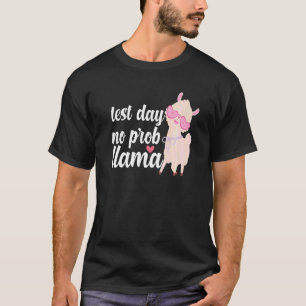 Test Day No Prob Llama Women Teacher Staat Test T-Shirt