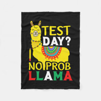Test für den "Day No Prob-Lama"-Lehrer Fleecedecke