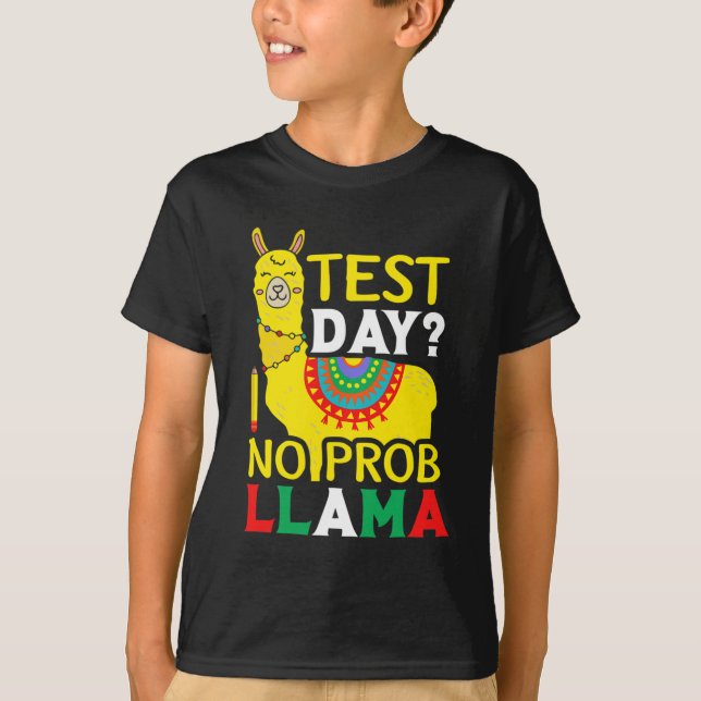 Test für den "Day No Prob-Lama"-Lehrer T-Shirt (Vorderseite)
