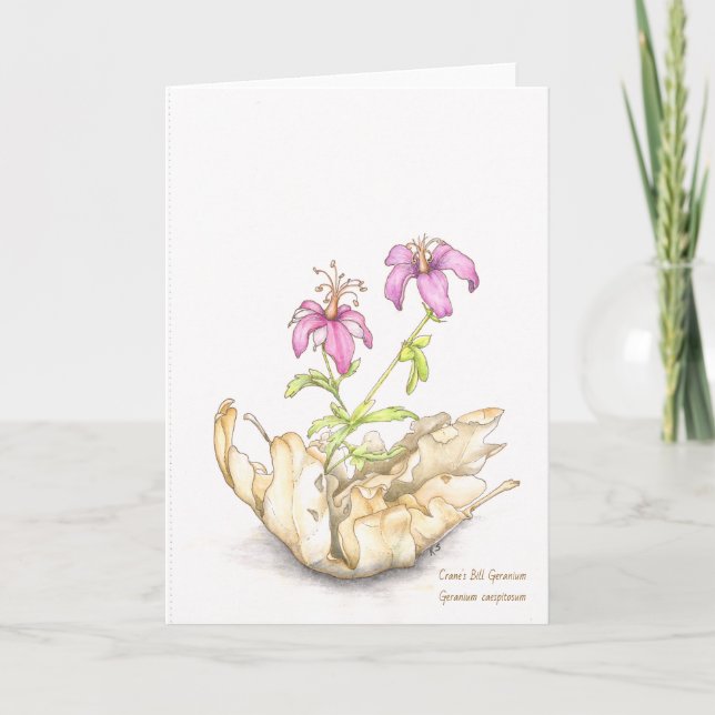 test geranium card with text in Zazzle Karte (Vorderseite)