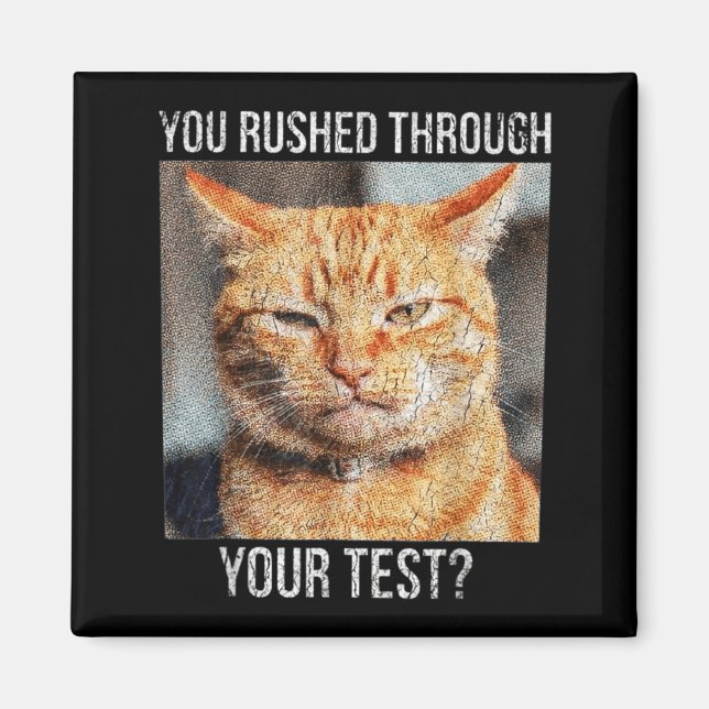 Test Hurz Durch Lustiger Testtag Lehrer Meme Magnet (Vorne)