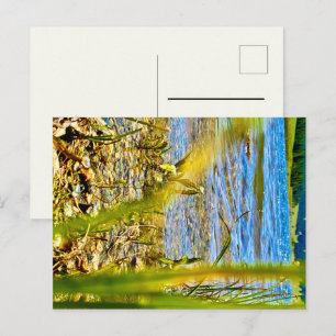 Test Postkarte