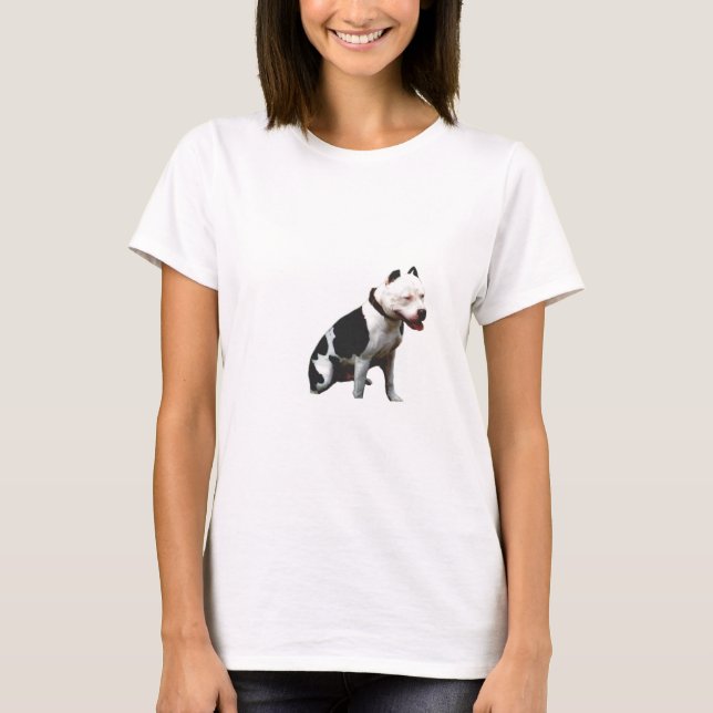 Test T-Shirt (Vorderseite)