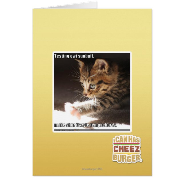 Testen von Sonnen (Vorne)