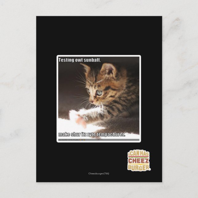 Testen von Sonnen Postkarte (Vorderseite)