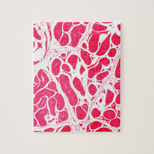 Testikel-Zellen unter dem Mikroskop Puzzle