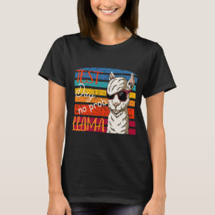 Testtag Nr. Prob Llama Lehrer Professor Joke T-Shirt