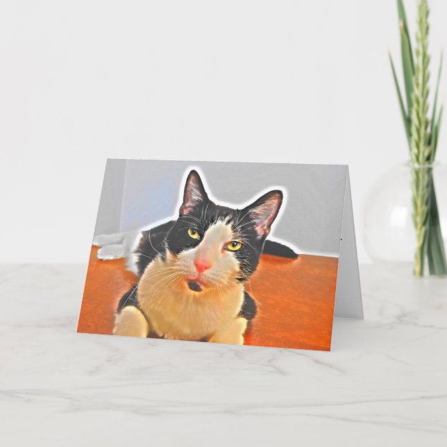 Testy Tuxedo Cat Birthday Card Karte (Vorderseite)
