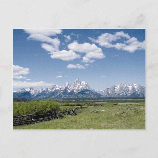 Teton Fence Postcard Postkarte (Vorderseite)
