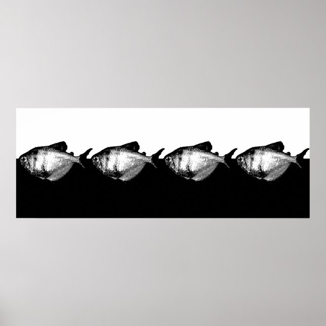 Tetra School Poster (Vorne)