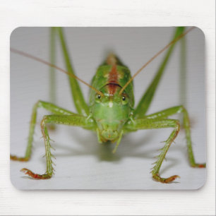 Tettigonia viridissima mousepad