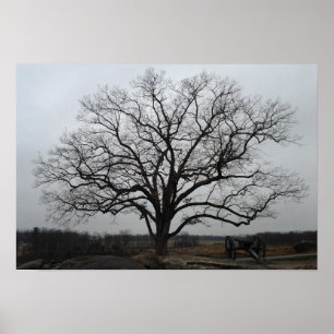 Teufel-Höhlen-Baum Poster