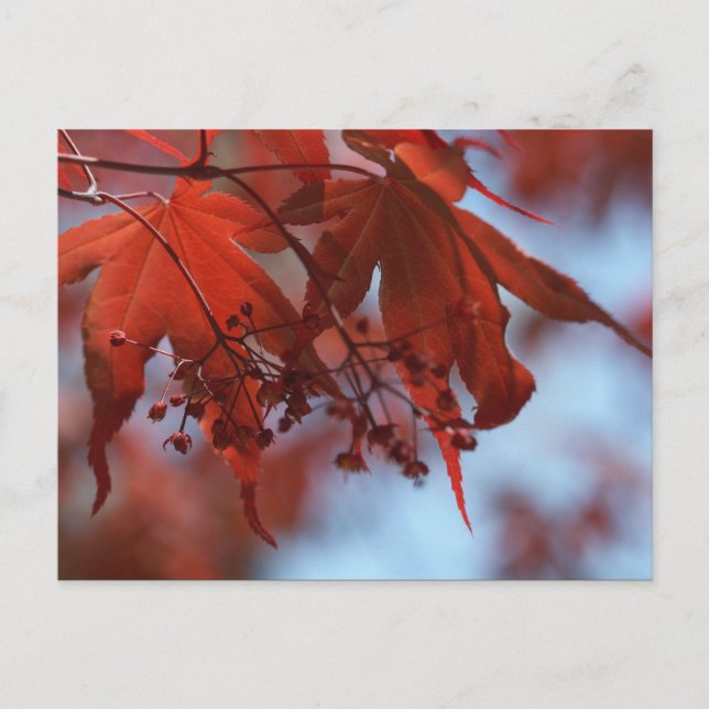Teufel und Engel Postkarte (Vorderseite)