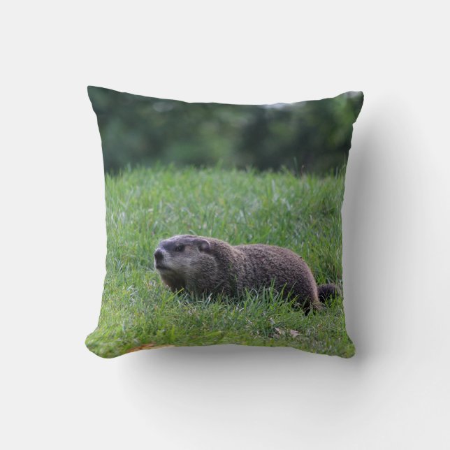 Teufel's Hole Digger Kissen (Vorderseite)