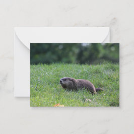 Teufel's Hole Digger Mitteilungskarte