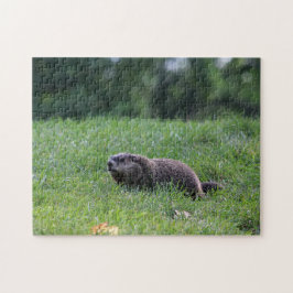 Teufel's Hole Digger Puzzle