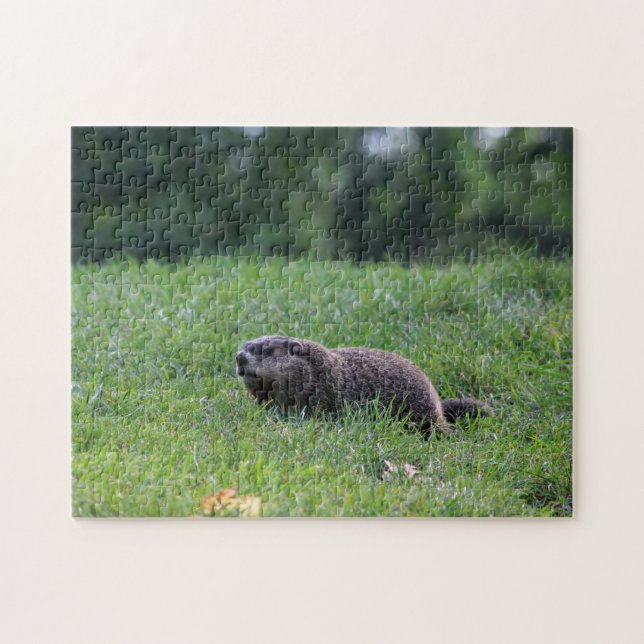 Teufel's Hole Digger Puzzle (Horizontal)