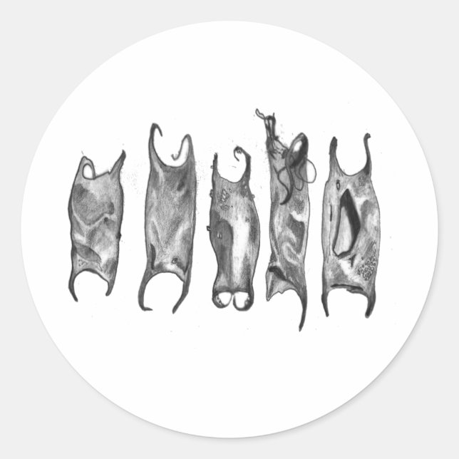 Teufelsbeutel nach Stand Runder Aufkleber (Vorderseite)