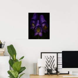Teufelshelm: Toxische Eleganz Impressionistische K Poster