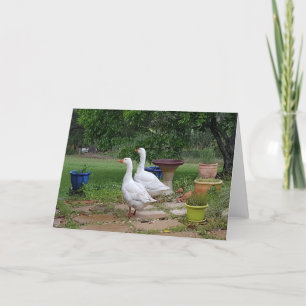 Teufelskerzen - Blank alle Visitenkarte. Karte